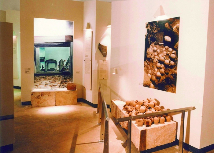 בית אוסישקין, מוזיאון ארכיאולוגי סמוך לתל דן